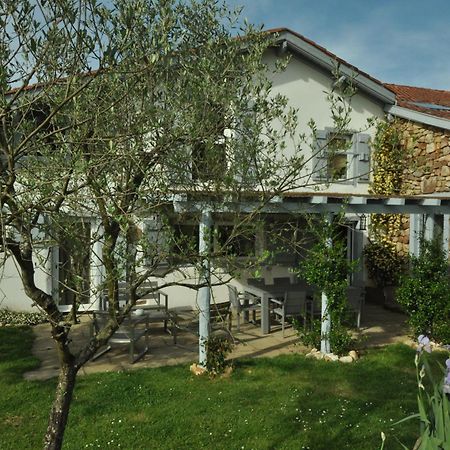 Bed and Breakfast Ferme Elhorga Saint-Pée-sur-Nivelle Exterior foto